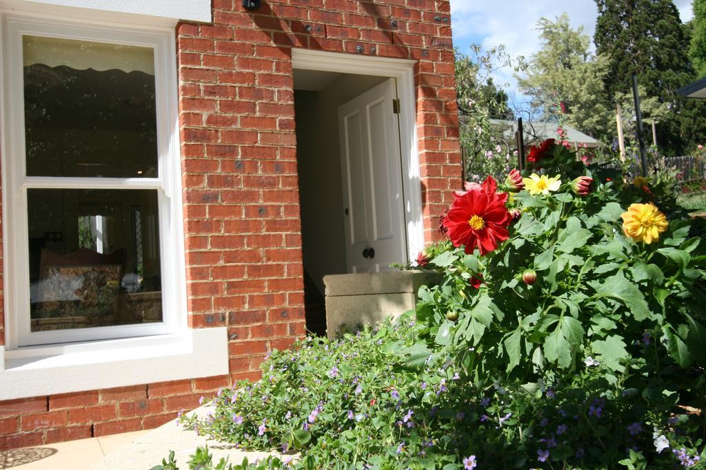 Annies Garden Cottage Hobart Dış mekan fotoğraf